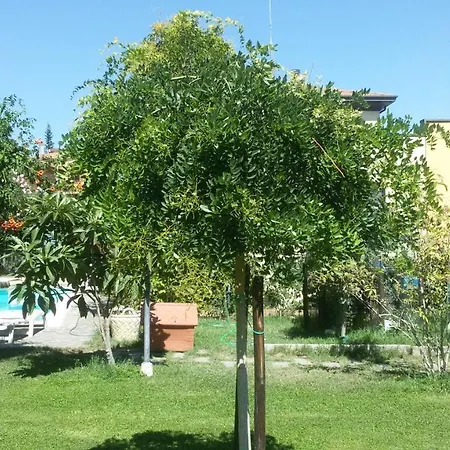 Nocleg ze śniadaniem Il Sognatore Perugia